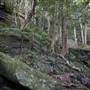 Mount Keira Scout Camp File 1