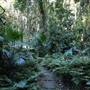Mount Keira Scout Camp File 1