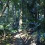 Mount Keira Scout Camp File 1