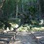 Mount Keira Scout Camp File 1