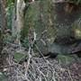Mount Keira Scout Camp File 1