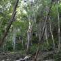 Mount Keira Scout Camp File 1
