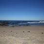Caves Beach North