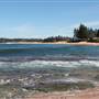 Mona Vale Beach