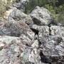 Arakoon Private Property
