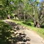 Norman Lindsay Gallery and Museum
