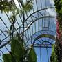 The Calyx - Royal Botanic Garden Sydney