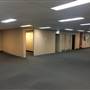 Industrial & Warehouse Property - St. Leonards