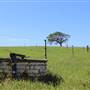 Rosebank Farm