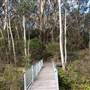 The Gully Walk, Katoomba (formerly Catalina Park)