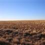 Menindee Road