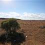 Silverton Road & Landscapes 2017