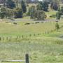 Bega Valley Area