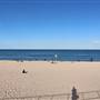 Bondi Beach