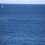 Cape Solander