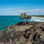 Fingal Head Lighthouse & Coastal Reserve