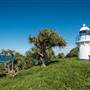 Fingal Head Lighthouse & Coastal Reserve
