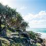 Cabarita Beach