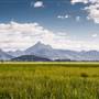 Tweed Valley - Mt Warning Views