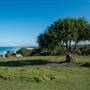 Hastings Point