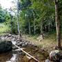Tunsted Private Property Crystal Creek Valley