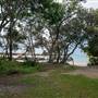 Brunswick Head Estuaries 2017