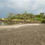 Brunswick Head Estuaries 2017