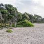 Hickey Island - Yamba