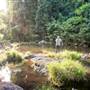 Killen Falls