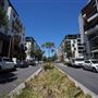 Harold Park Tramsheds & Residential Apartments