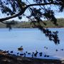 Manly Dam & Reservoir