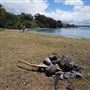 Cameron Boyd Reserve