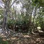 Cameron Boyd Reserve