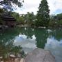 Auburn Botanic Gardens - Japanese Garden