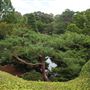 Auburn Botanic Gardens - Japanese Garden