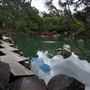 Auburn Botanic Gardens - Japanese Garden