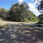 Bass Point Reserve