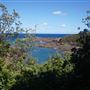 Bass Point Reserve