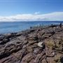 Bass Point Reserve