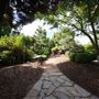 Edogawa Japanese Garden