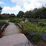 Edogawa Japanese Garden