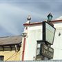 Goulburn