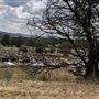 Goulburn