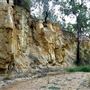 Western Focus Backdrop & Prop Studio - Mudgee Rural Location
