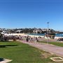 Bondi Beach