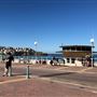 Bondi Beach