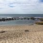 Bronte Beach