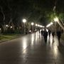 Sydney at Night