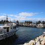 Bermagui