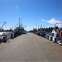 Bermagui